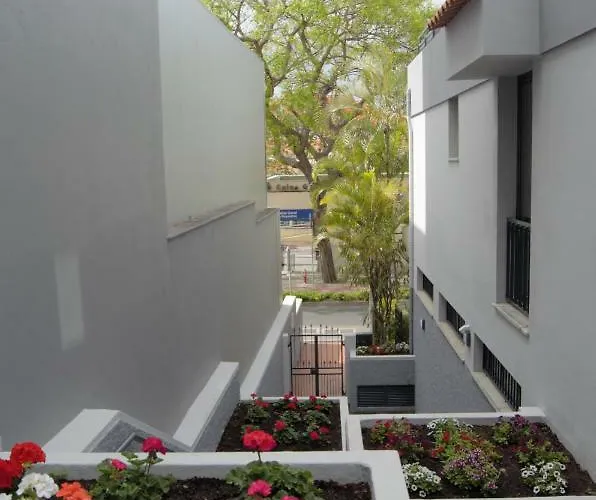 Turísticos Vitoria By Petit